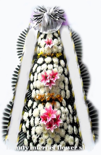 ��õ�õ������а��õ��ʽ��� ����ȭȯ�ɹ�� 033-591-������� �������ͳݲ���