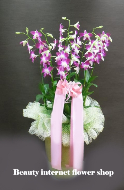 ��õ�ñ���û������ɹ�� 032-424-������ ��õ�������ͳݲ���