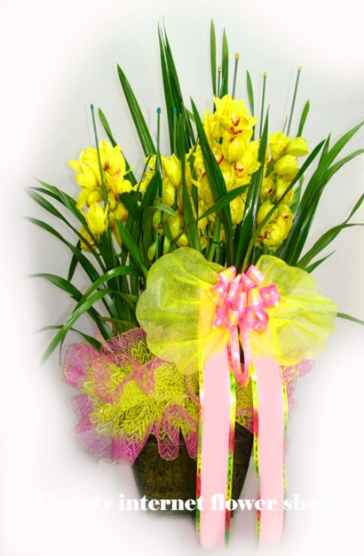 ��õ�������츮���������ɹ�� 032-424-������ ��õ�������ͳݲ���