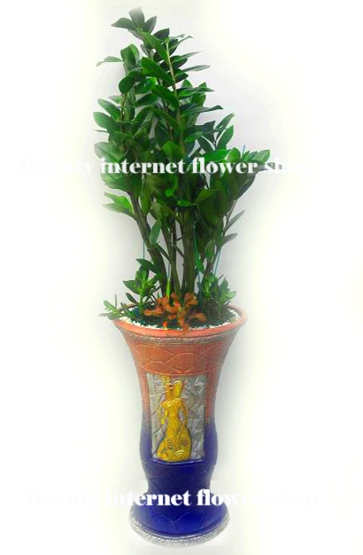 ��õ����������ȭ�вɹ�� 032-424-������ ��õ�������ͳݲ���