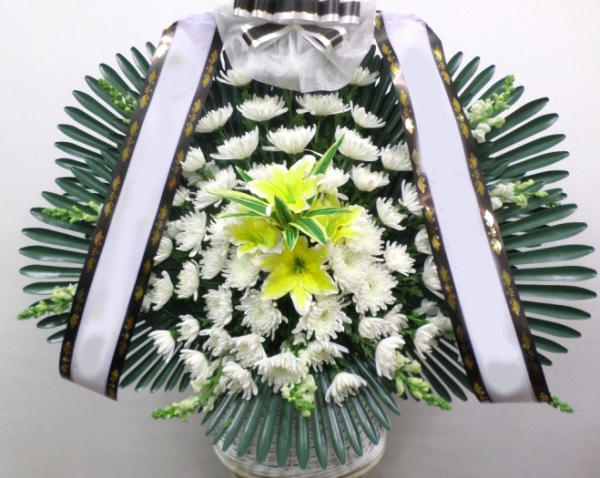 �������ؾ���ʽ��念���ɹٱ��Ϲ�޲���