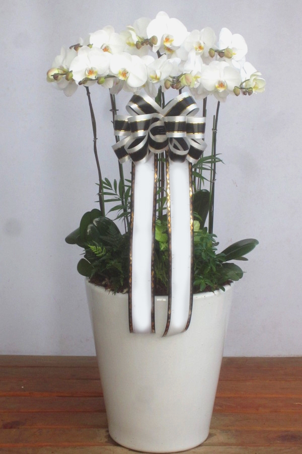 �λ��Ƿ����ʽ��� ��������ȣ���� ��������� ��ۻ��� �λ� ������ ����2��